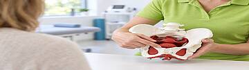 Physiotherapeutin erklärt einer Patientin am Beckenmodell die Beckenbodenmuskulatur – Beckenbodenphysiotherapie im Urologenzentrum Wien
